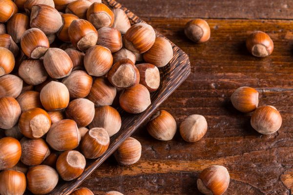 فندق با پوست طبیعی از اشکورات گیلان – برند آیاز 