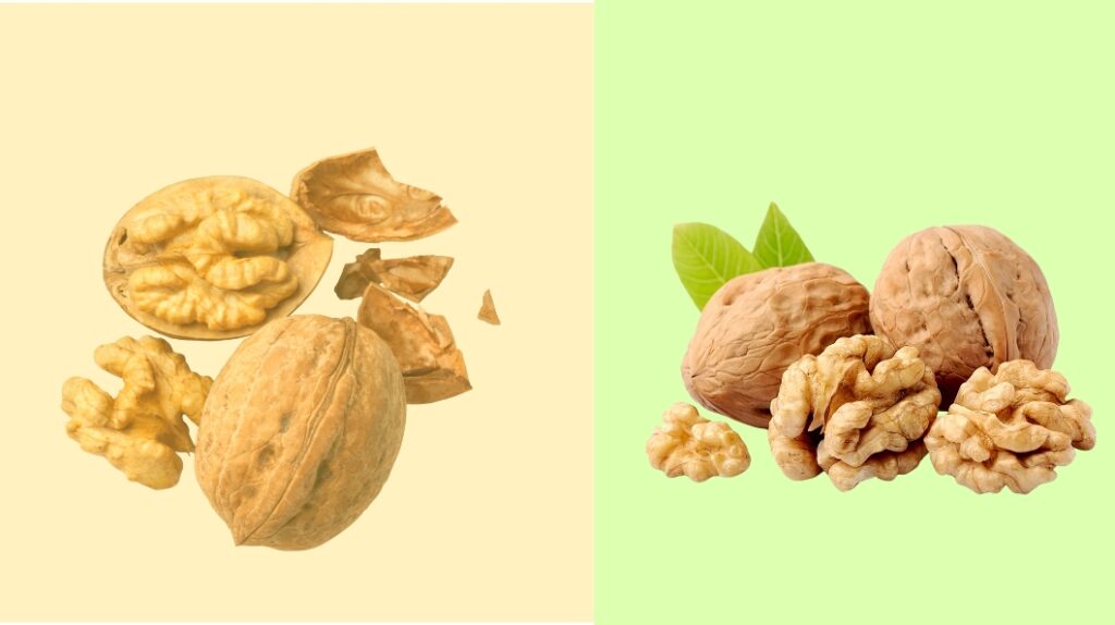 گردوی خارجی بهتر است؟ یا ایرانی