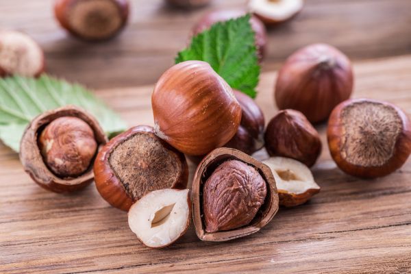 مغز فندق خام روی میز

