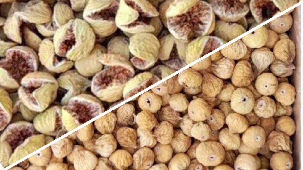 خرید انجیر آیاز